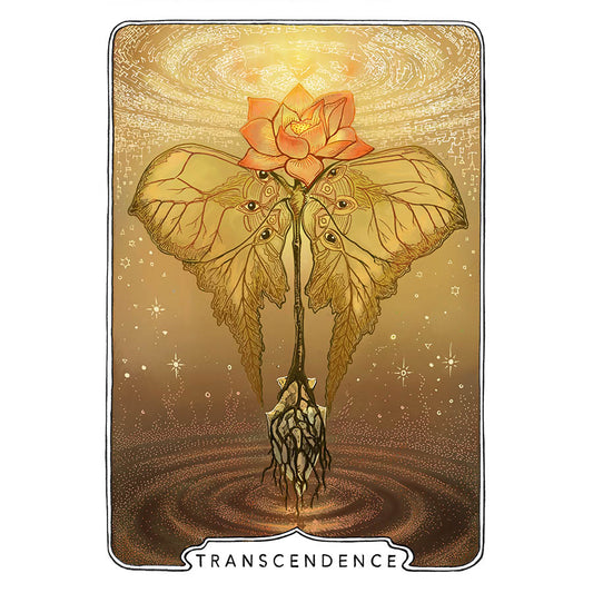 Transcendence Print