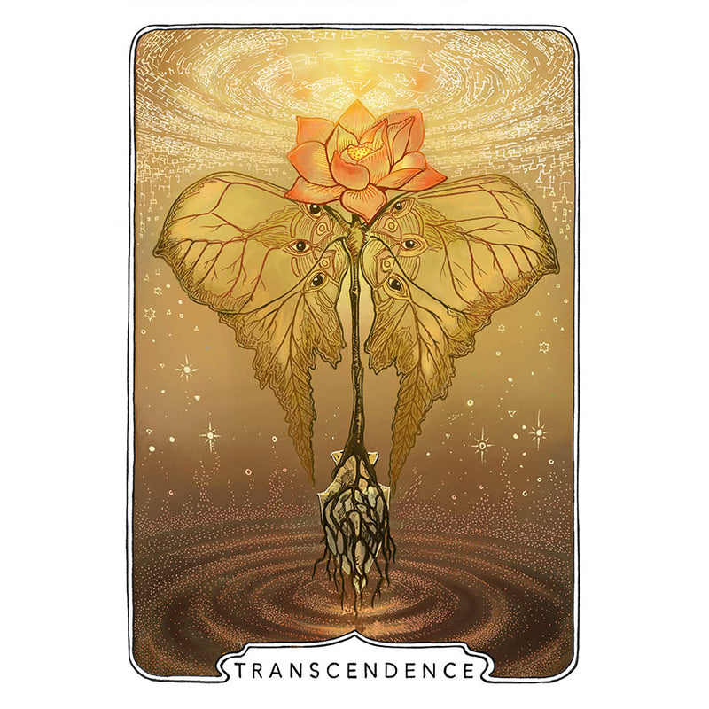 Transcendence Print